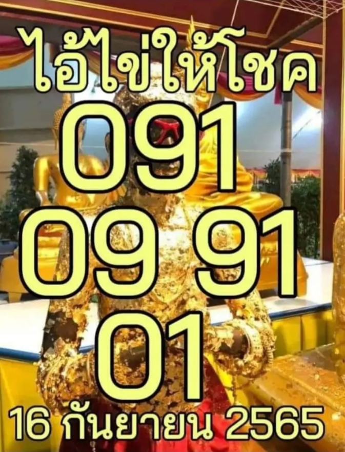 เลขเด็ดหวยไทย แนวทางรัฐบาล ไอ้ไข่ให้โชค 16/9/65