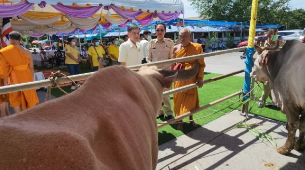 แจกแนวทางเลขเด็ดหวยไทยฟรี