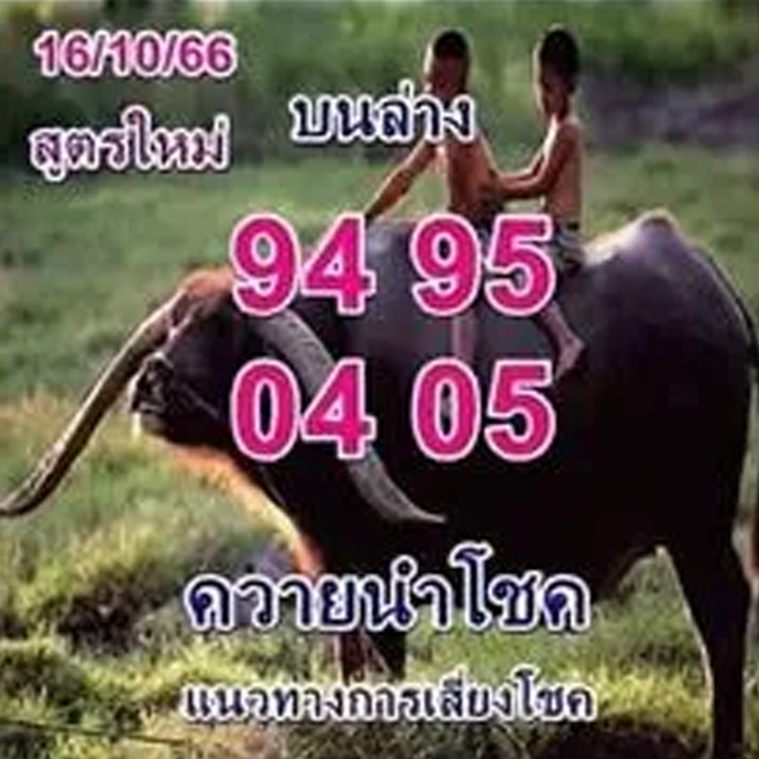 ควายนำโชคงวด 16/10/66