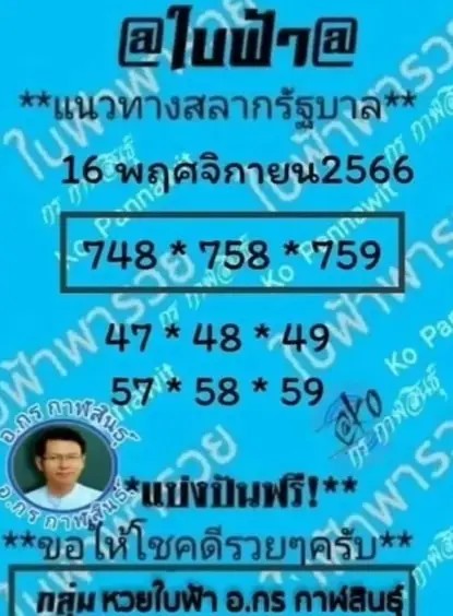 หวยใบฟ้างวด 16/11/66