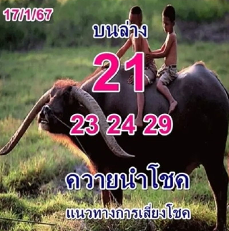 หวยควายนำโชคงวด 17/1/67